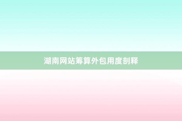 湖南网站筹算外包用度剖释