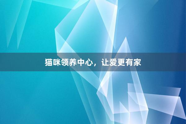 猫咪领养中心，让爱更有家