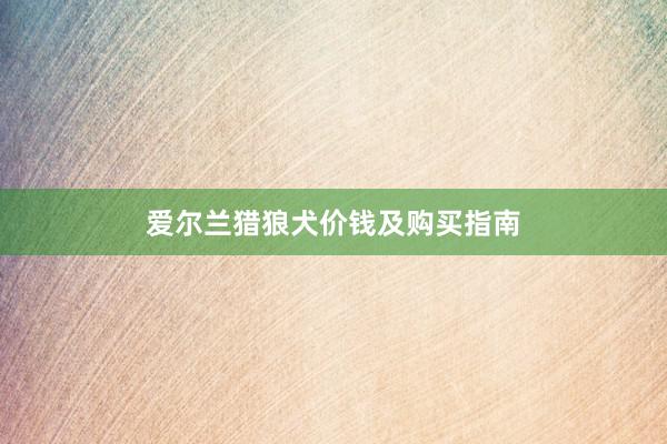 爱尔兰猎狼犬价钱及购买指南
