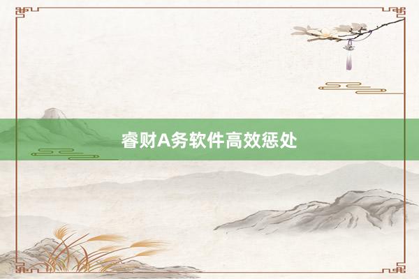 睿财A务软件高效惩处